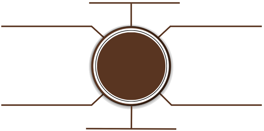 PTS Technology Diagram